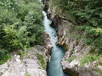 SAM_1204