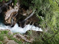 SAM_1215