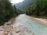 SAM_1228