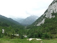 SAM_1239