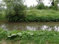 SAM_1632