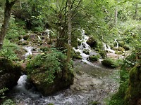 SAM_1727
