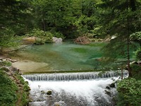 SAM_1736