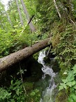 SAM_1746
