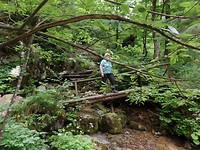 SAM_1748
