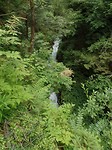 SAM_1762