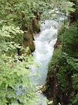 SAM_1763