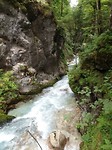 SAM_1769
