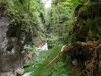 SAM_1773