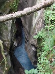 SAM_1774