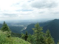 SAM_1784