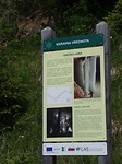 SAM_1831
