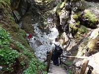 SAM_1835