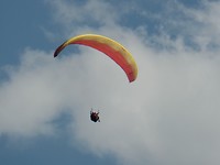SAM_2052