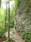 SAM_2075