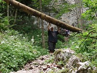 SAM_2077