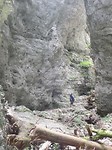SAM_2082