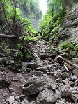 SAM_2084