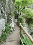 SAM_2088