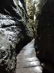 SAM_2093
