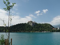 SAM_2120