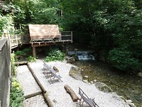 SAM_2130