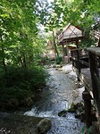SAM_2134