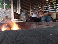 SAM_2156 - kopie