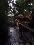 SAM_2165