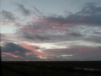 SAM_2247