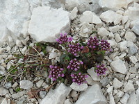 SAM_1398