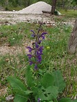 SAM_1140