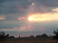 SAM_2250