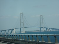 SAM_2252
