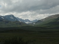 SAM_2273