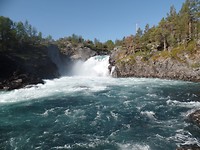 SAM_2296