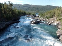 SAM_2440