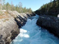SAM_2441