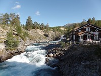 SAM_2449
