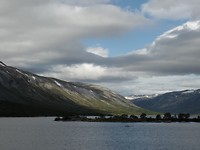 SAM_2462