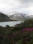 SAM_2465
