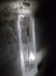 SAM_2529