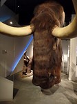 SAM_2582
