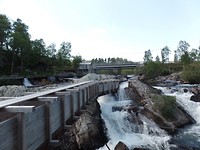 SAM_2621