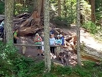 IMG20230706121647