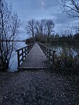 20251129_165422