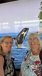 IMG-20260603-WA0008