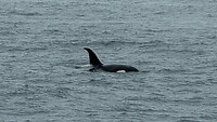 IMG-20260605-WA0003