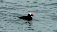 IMG-20260605-WA0005