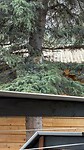 IMG-20260609-WA0004